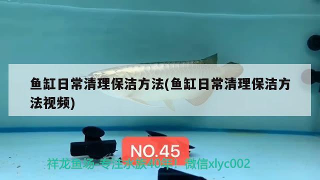 無(wú)鱗魚鯉魚是什么品種，錦鯉苗是不是沒(méi)磷 觀賞魚 第2張