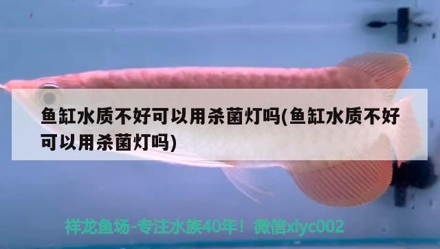 魚缸水質(zhì)不好可以用殺菌燈嗎(魚缸水質(zhì)不好可以用殺菌燈嗎) 龍魚專用燈