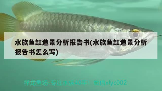 魚缸汽水是什么意思，啤酒可以澆花嗎，怎么澆