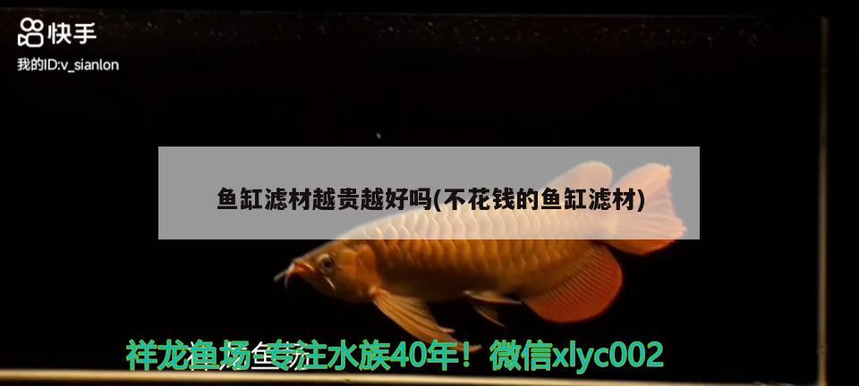 魚缸濾材越貴越好嗎(不花錢的魚缸濾材) 夢幻雷龍魚