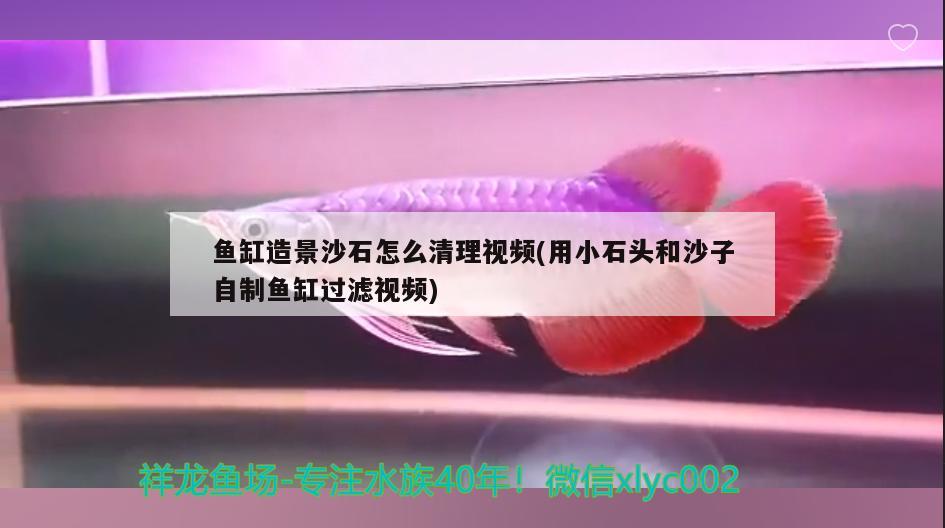 魚缸造景沙石怎么清理視頻(用小石頭和沙子自制魚缸過濾視頻) 廣州水族器材濾材批發(fā)市場