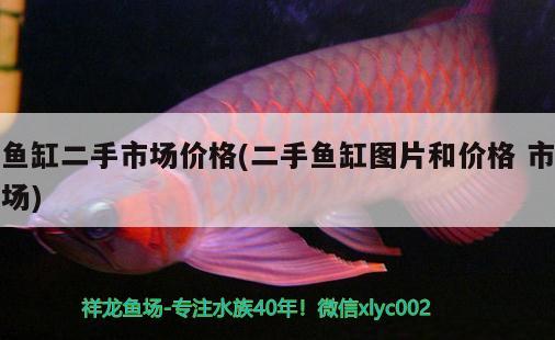 魚缸二手市場價格(二手魚缸圖片和價格市場)