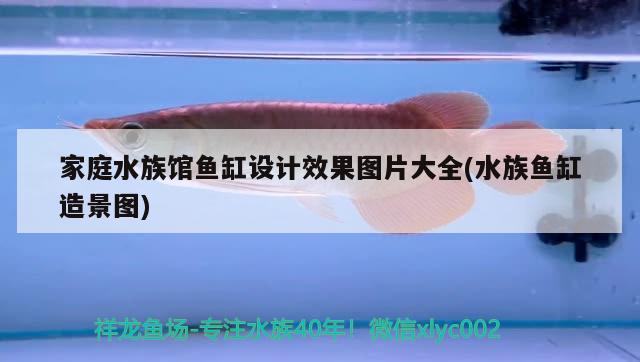 家庭水族館魚缸設(shè)計(jì)效果圖片大全(水族魚缸造景圖)