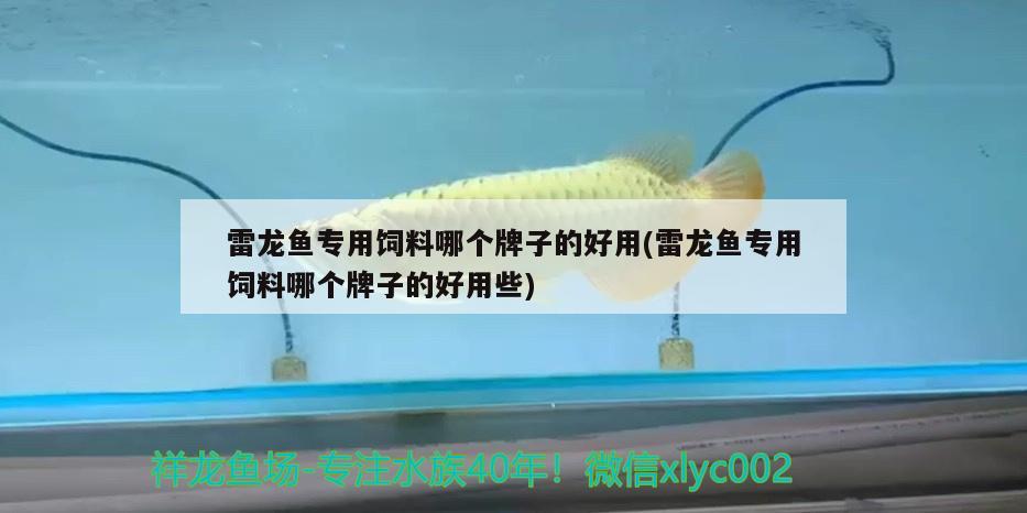 雷龍魚專用飼料哪個牌子的好用(雷龍魚專用飼料哪個牌子的好用些) 祥龍龍魚魚糧