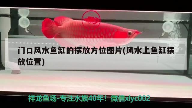 門口風水魚缸的擺放方位圖片(風水上魚缸擺放位置)