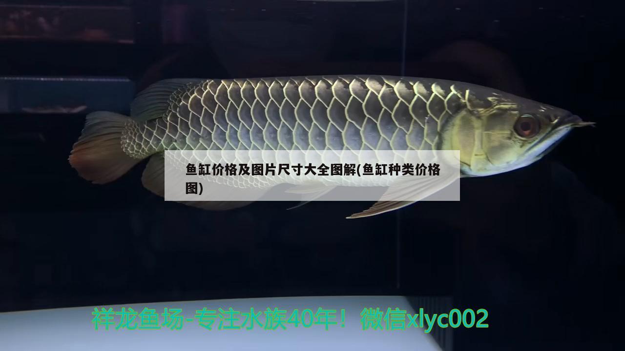 魚(yú)缸價(jià)格及圖片尺寸大全圖解(魚(yú)缸種類(lèi)價(jià)格圖)