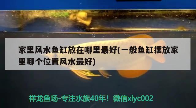 家里風(fēng)水魚缸放在哪里最好(一般魚缸擺放家里哪個(gè)位置風(fēng)水最好) 魚缸風(fēng)水