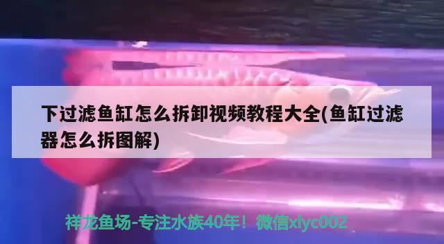 下過濾魚缸怎么拆卸視頻教程大全(魚缸過濾器怎么拆圖解) 眼斑魚