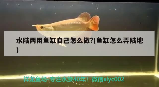 咸陽賣魚缸市場在哪里啊電話多少：咸陽魚缸批發(fā)市場