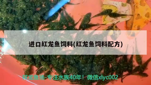 龍魚腸炎怎么治？，龍魚出現(xiàn)寄生蟲疾病應(yīng)該怎么辦？ 水族雜談 第1張