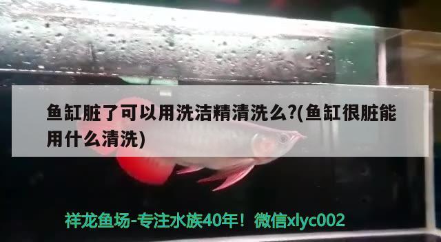 魚缸臟了可以用洗潔精清洗么?(魚缸很臟能用什么清洗)