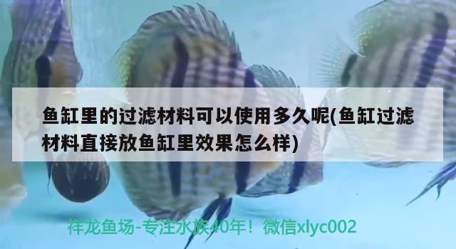 魚缸里的過濾材料可以使用多久呢(魚缸過濾材料直接放魚缸里效果怎么樣) 慈雕魚