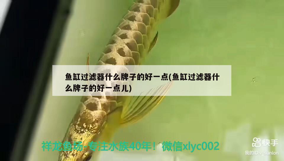 魚缸過濾器什么牌子的好一點(魚缸過濾器什么牌子的好一點兒) 金龍魚百科