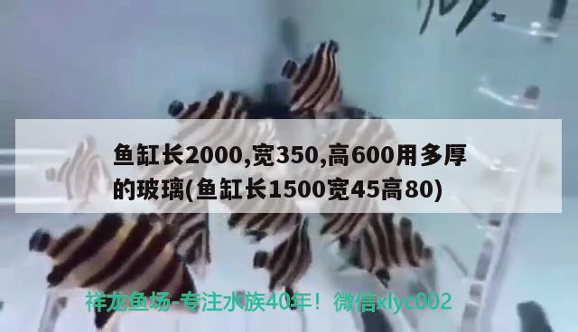 魚缸長2000,寬350,高600用多厚的玻璃(魚缸長1500寬45高80) 飛鳳魚