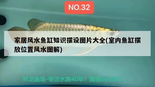 家居風水魚缸知識擺設圖片大全(室內(nèi)魚缸擺放位置風水圖解)