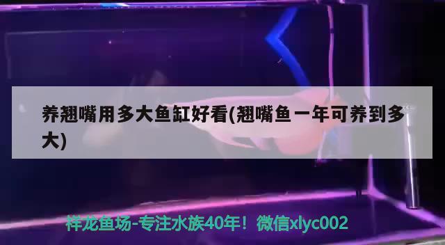 廣東雄凱科技實業(yè)有限公司魚缸 浙江雄凱集團怎么樣