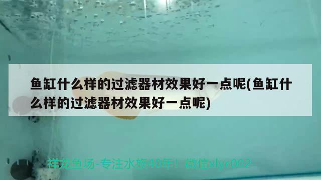 魚缸什么樣的過濾器材效果好一點呢(魚缸什么樣的過濾器材效果好一點呢) 狗頭魚