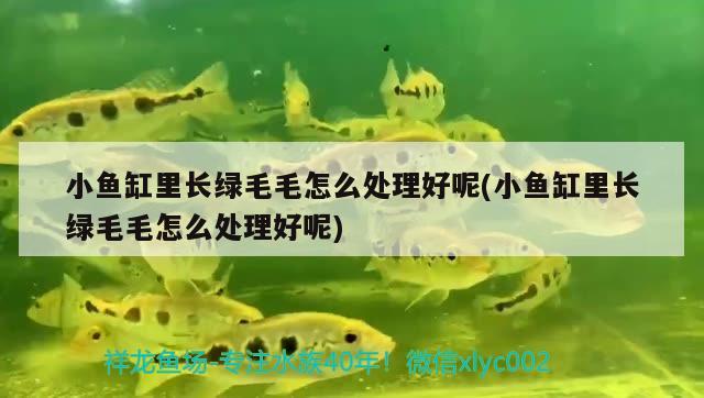 南昌魚缸制作廠家電話地址及電話：南昌水缸哪里有賣 廣州水族批發(fā)市場(chǎng) 第1張