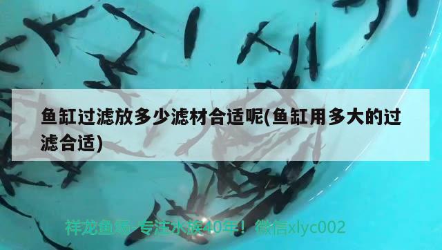 魚缸過濾放多少濾材合適呢(魚缸用多大的過濾合適)