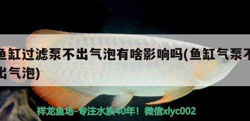 魚缸過濾泵不出氣泡有啥影響嗎(魚缸氣泵不出氣泡) 廣州祥龍國際水族貿(mào)易