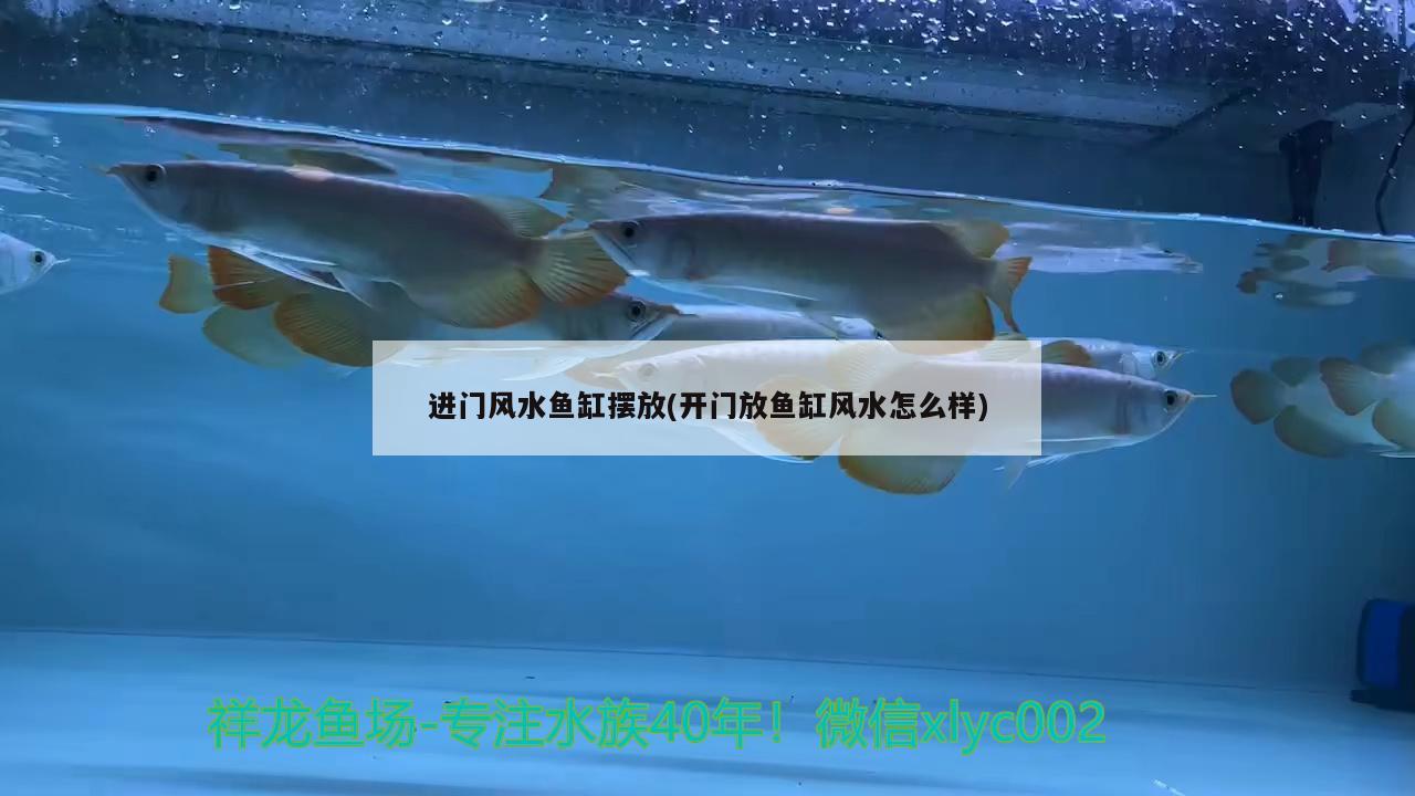 進(jìn)門風(fēng)水魚缸擺放(開門放魚缸風(fēng)水怎么樣) 魚缸風(fēng)水