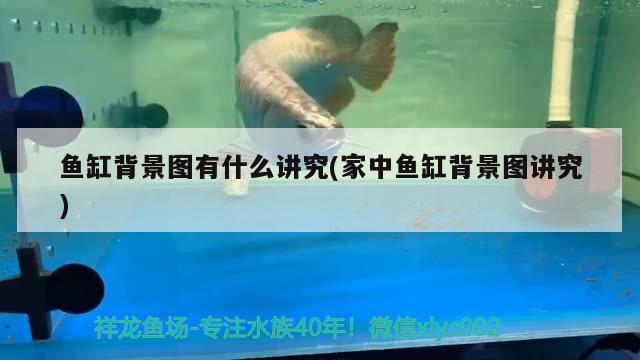 豬鼻龜左眼圈有潰瘍沒事吧用什么藥