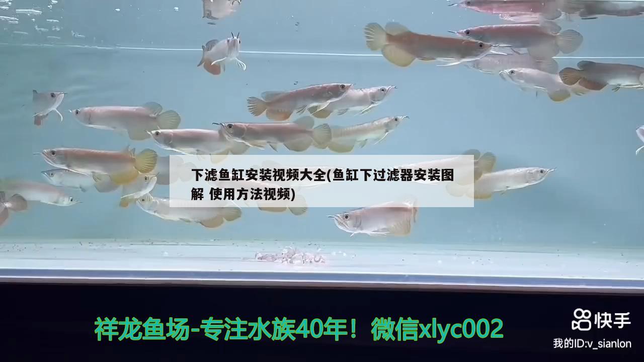 下濾魚缸安裝視頻大全(魚缸下過濾器安裝圖解使用方法視頻) 金龍魚糧