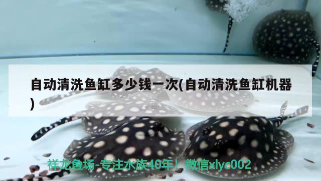 塑料瓶做小魚缸：塑料瓶做小魚缸怎么做