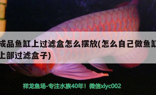 成品魚缸上過濾盒怎么擺放(怎么自己做魚缸上部過濾盒子)