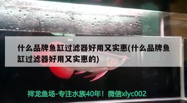 秦皇島魚缸配件專賣店電話多少?。呵鼗蕧u魚缸水族用品批發(fā)