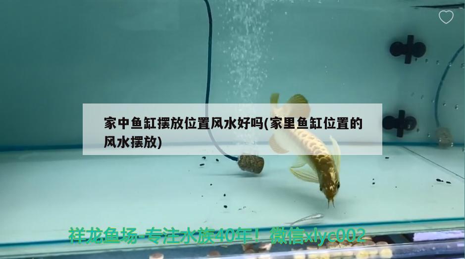 家中魚缸擺放位置風(fēng)水好嗎(家里魚缸位置的風(fēng)水?dāng)[放) 魚缸風(fēng)水