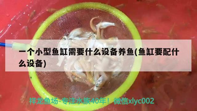 一個小型魚缸需要什么設(shè)備養(yǎng)魚(魚缸要配什么設(shè)備) 肥料