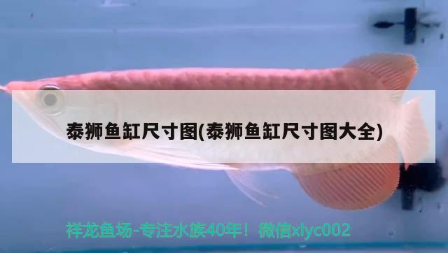 泰獅魚缸尺寸圖(泰獅魚缸尺寸圖大全) 龍魚批發(fā)