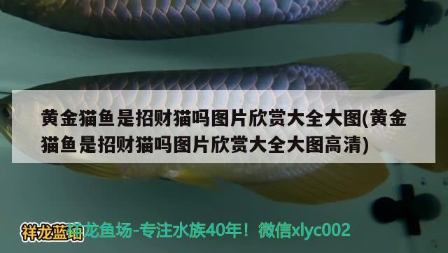 九紋龍大鬧史家莊講的什么道理，水滸傳第22回，閻婆大鬧鄆城縣，朱仝義釋宋公明，的情節(jié)概括，急！急！急