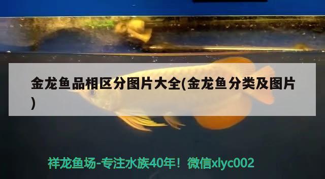 詳細解析加熱棒和魚缸的電力消耗加熱棒費電嗎，加熱棒和魚缸的電力消耗加熱棒費電嗎魚缸用電摘要加熱棒費電嗎