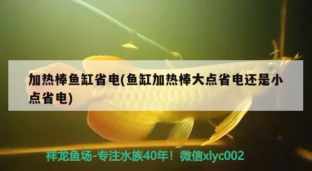 加熱棒魚缸省電(魚缸加熱棒大點省電還是小點省電)