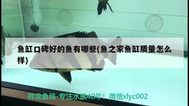 二手水族魚缸轉讓 二手水族魚缸轉讓 赤元素