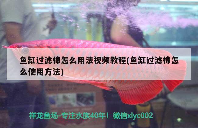 魚缸過濾棉怎么用法視頻教程(魚缸過濾棉怎么使用方法) 廣州祥龍國際水族貿(mào)易