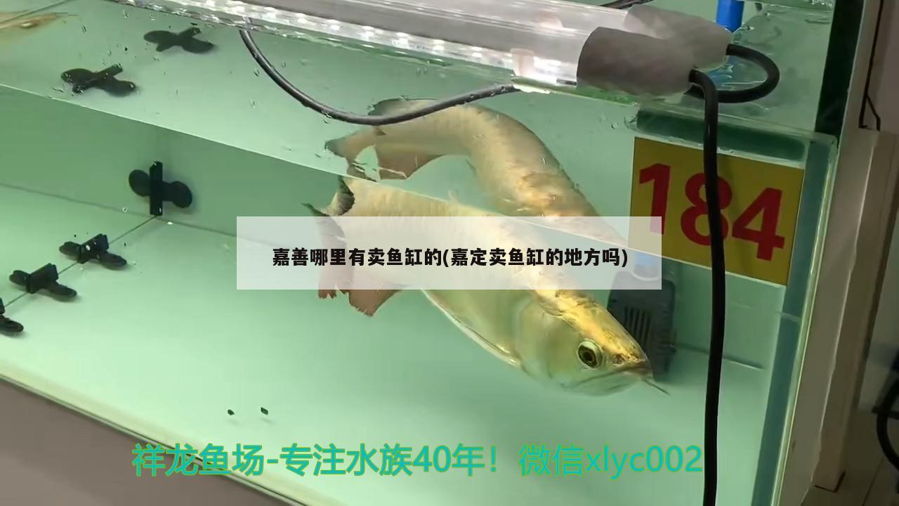 泰安魚缸清洗公司電話多少號：泰安市水族箱魚缸批發(fā) 魚缸/水族箱 第3張