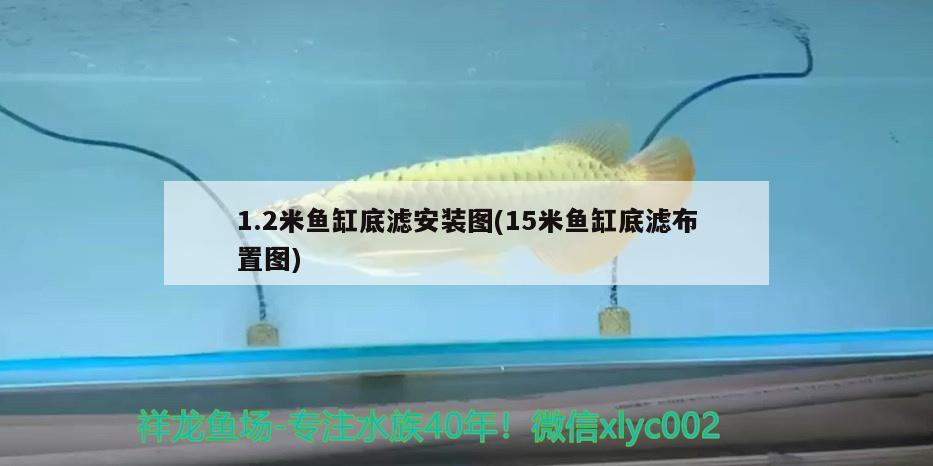 哪里有賣魚缸水泵的店鋪 魚缸水泵怎么選擇品牌 羅漢魚批發(fā)