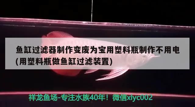 魚缸過濾器制作變廢為寶用塑料瓶制作不用電(用塑料瓶做魚缸過濾裝置) 銀古魚苗