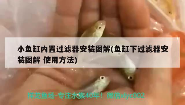 小魚缸內(nèi)置過濾器安裝圖解(魚缸下過濾器安裝圖解使用方法) 白子黃化銀龍魚