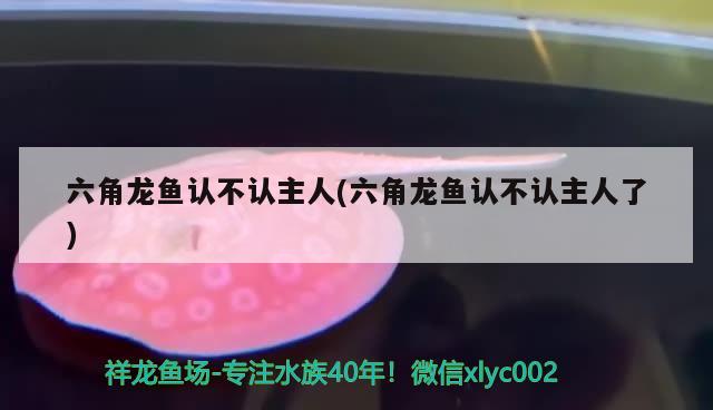 魚(yú)缸黑色背景視頻圖片：魚(yú)缸黑色背景有利于魚(yú)發(fā)色嗎?