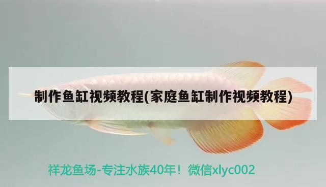 制作魚缸視頻教程(家庭魚缸制作視頻教程) 雙線側(cè)魚