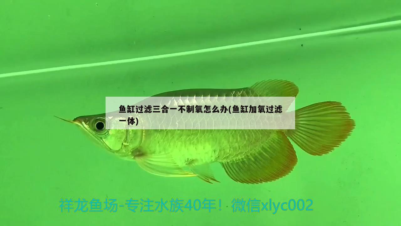 魚缸過濾三合一不制氧怎么辦(魚缸加氧過濾一體) 養(yǎng)魚知識(shí)