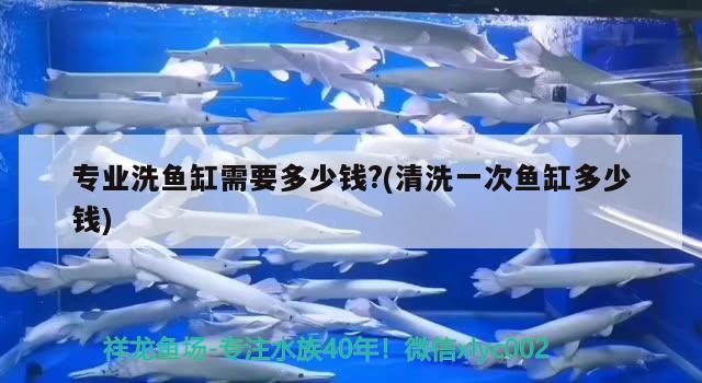 長春晚上12點適合去哪溜達，海星是哪個國家的 養(yǎng)魚的好處 第1張