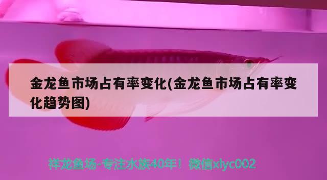 廣州上門回收舊魚缸價格查詢（廣州有收購舊金魚缸的嗎） 九鼎魚缸 第1張