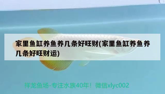 中國的玻璃就是強當硬漢老外遇上中國制造的玻璃(亮點在的7分45秒后) 二氧化碳設備 第2張