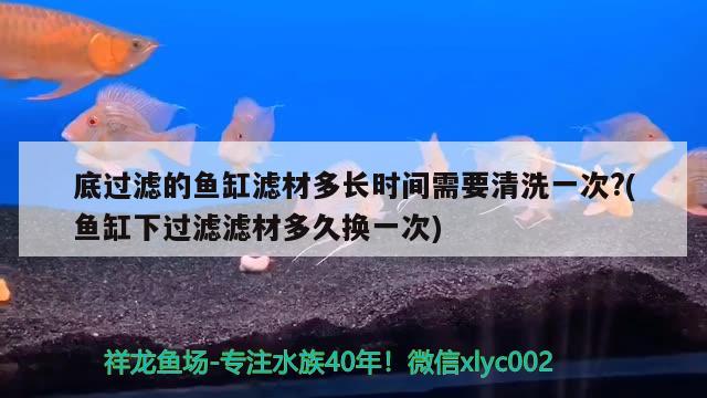 底過(guò)濾的魚缸濾材多長(zhǎng)時(shí)間需要清洗一次?(魚缸下過(guò)濾濾材多久換一次)