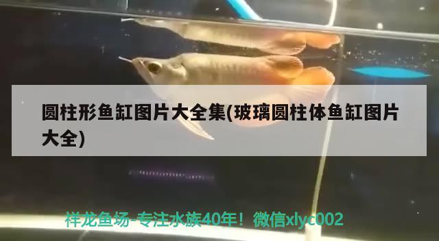 圓柱形魚缸圖片大全集(玻璃圓柱體魚缸圖片大全) 龍魚芯片掃碼器